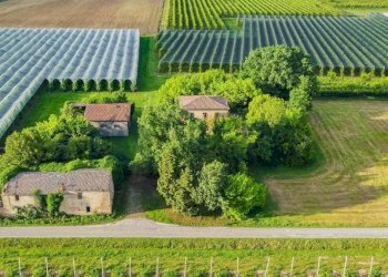 vista - Rustico via Campazzo, 15, Faenza - foto 7