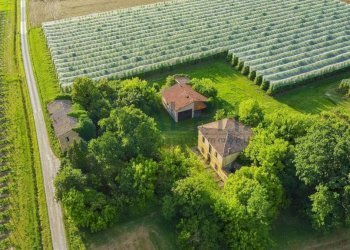 vista - Rustico via Campazzo, 15, Faenza - foto 8