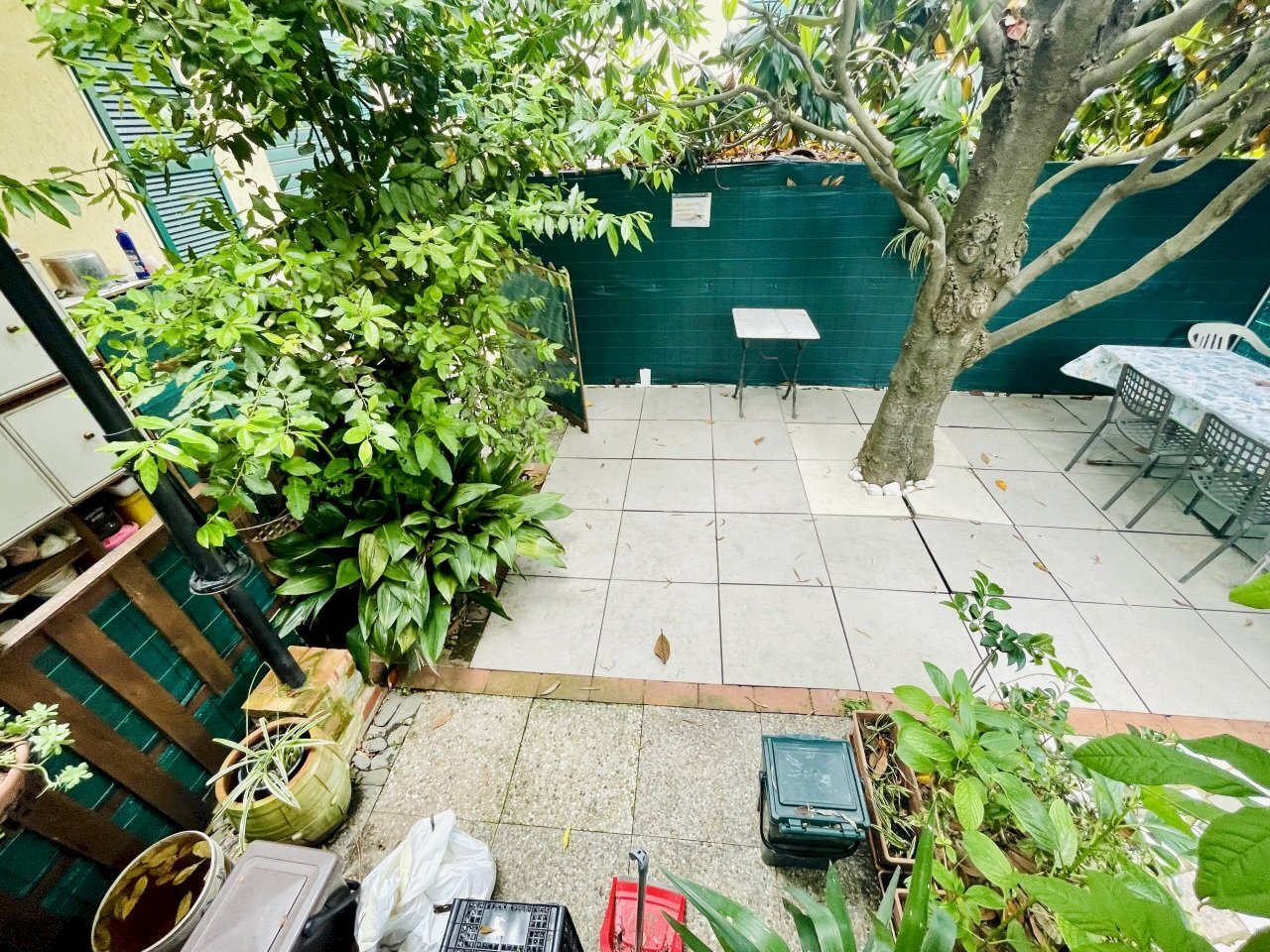 IMG_3554.jpg - Semi-detached house Sarzana - photo 2