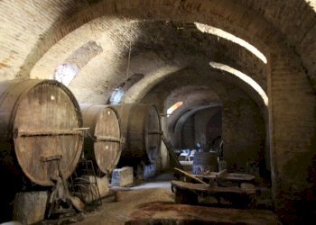 Villa Altavilla Monferrato - photo 17