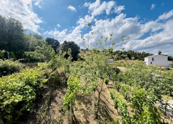 Villa Torpè - foto 11