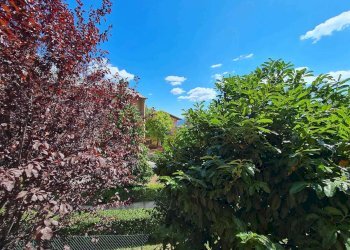 Villa Fanano - foto 13