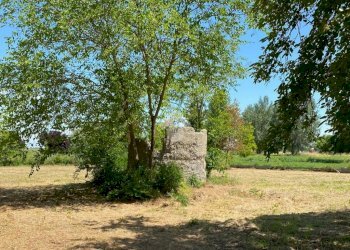 Rustic Via san marina, Bentivoglio - photo 14