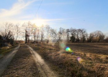 Terreno agricolo Via chisonetto, Osasco - foto 16