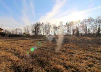 Terreno agricolo Via chisonetto, Osasco - foto 17