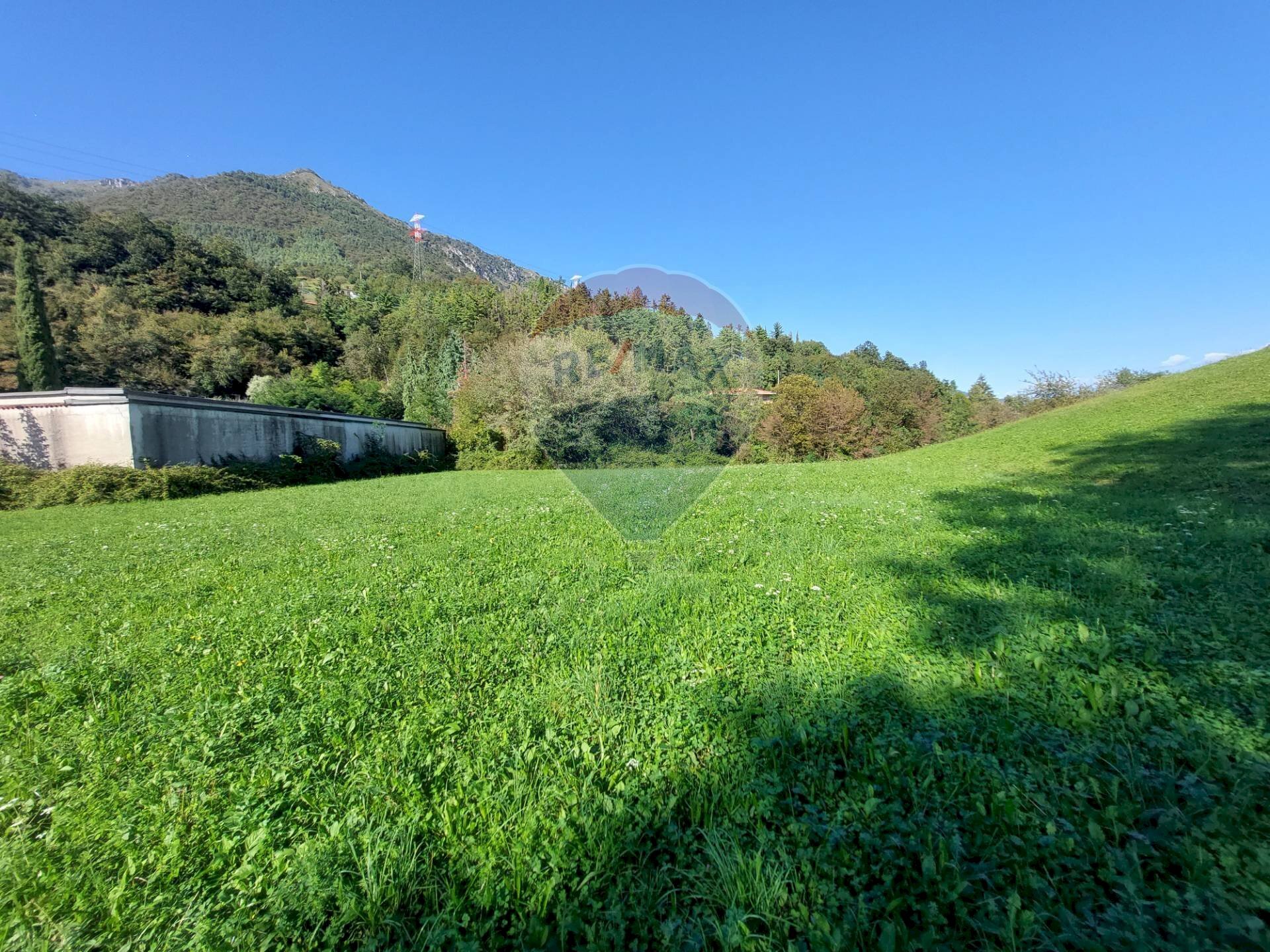 Terreno agricolo Endine Gaiano - foto 3
