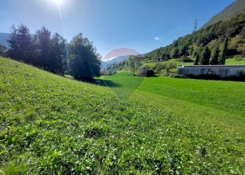 Terreno agricolo Endine Gaiano - foto 6