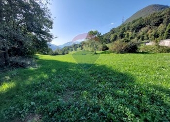Terreno agricolo Endine Gaiano - foto 9