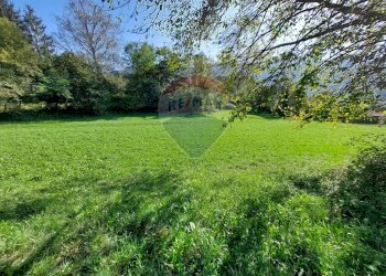 Terreno agricolo Endine Gaiano - foto 10