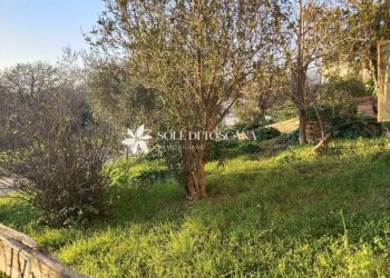 Attico Via XX settembre, Montalcino - foto 9