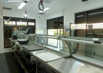 Locale Commerciale Via America, Termoli - foto 7