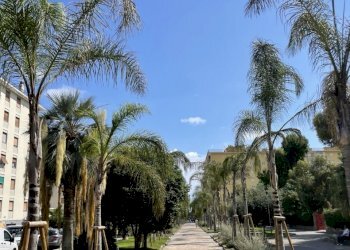 Q24315.jpg - Appartamento Viale delle Palme, Taggia - foto 16