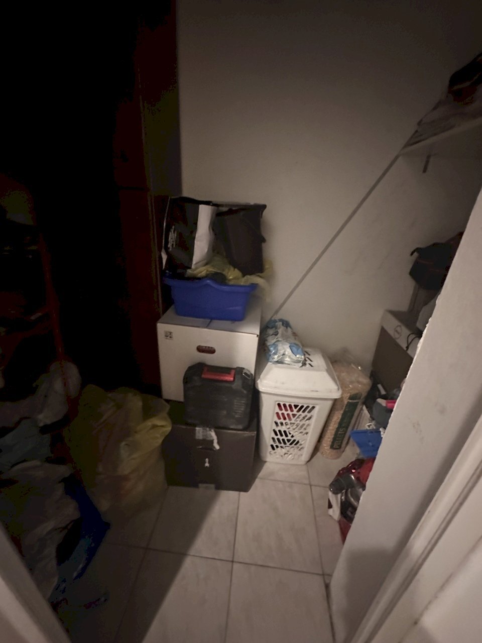 IMG_6268.jpeg - Appartamento Polesella - foto 3