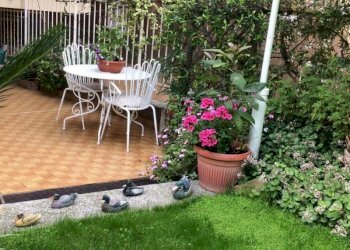 giardino 2.jpg - Trilocale via Padre Semeria 330, Sanremo - foto 16