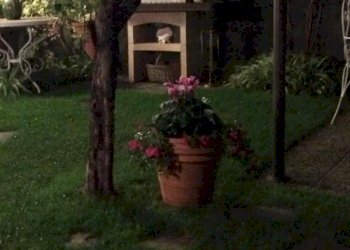 giardino 5.jpg - Trilocale via Padre Semeria 330, Sanremo - foto 19