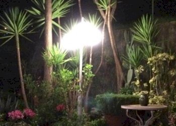 giardino 6.jpg - Trilocale via Padre Semeria 330, Sanremo - foto 20