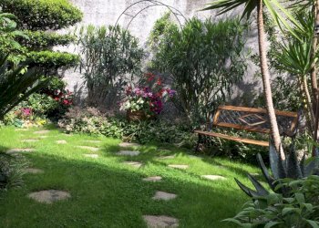 giardino 9.jpeg - Trilocale via Padre Semeria 330, Sanremo - foto 23