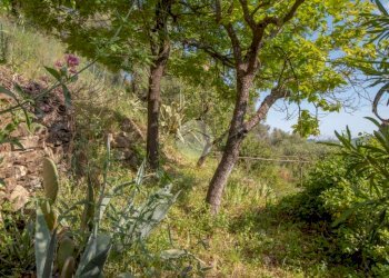 Apartment Via Regina Elena, Imperia - photo 17