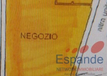 Shop Lizzano in Belvedere - photo 2