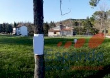 Building land Santa Sofia - photo 4