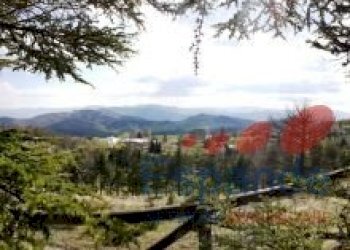 Building land Santa Sofia - photo 5