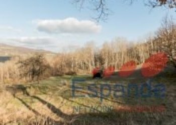 Appartamento Alto Reno Terme - foto 44