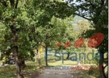 Appartamento Alto Reno Terme - foto 49