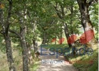 Appartamento Alto Reno Terme - foto 50