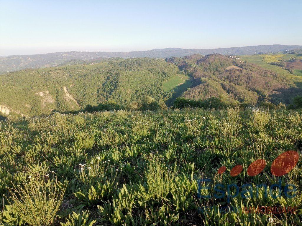 Terreno agricolo Loiano - foto 1