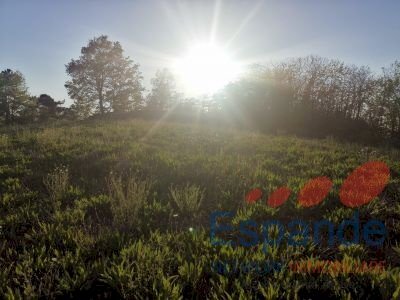 Terreno agricolo Loiano - foto 3
