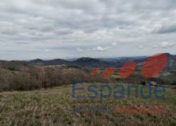 Terreno agricolo Loiano - foto 6