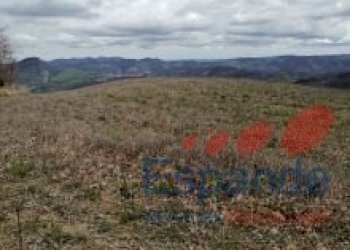 Terreno agricolo Loiano - foto 7