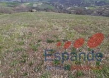 Terreno agricolo Loiano - foto 8