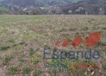 Terreno agricolo Loiano - foto 10