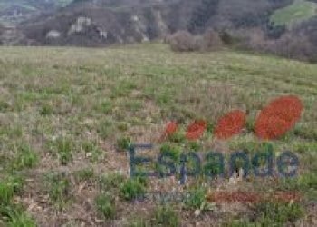 Terreno agricolo Loiano - foto 11