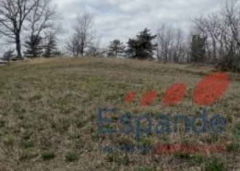 Terreno agricolo Loiano - foto 13