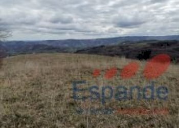 Terreno agricolo Loiano - foto 14