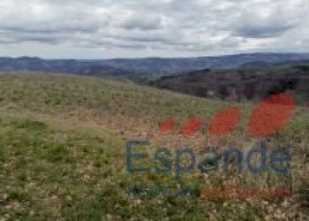 Terreno agricolo Loiano - foto 15