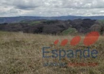 Terreno agricolo Loiano - foto 18