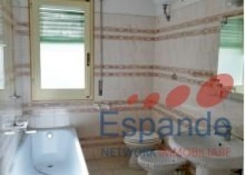 Hotel - Accommodation facility Lizzano in Belvedere - photo 13