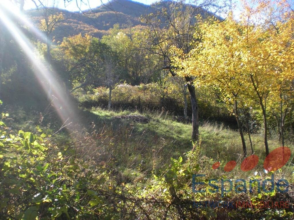 Terreno edificabile Alto Reno Terme - foto 1