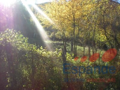 Terreno edificabile Alto Reno Terme - foto 2