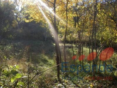 Terreno edificabile Alto Reno Terme - foto 3