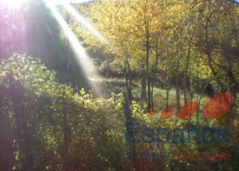 Terreno edificabile Alto Reno Terme - foto 2