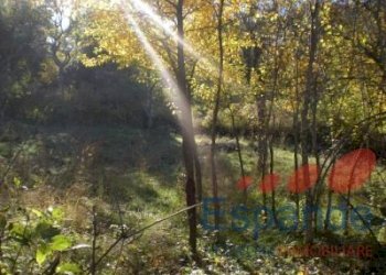 Terreno edificabile Alto Reno Terme - foto 3