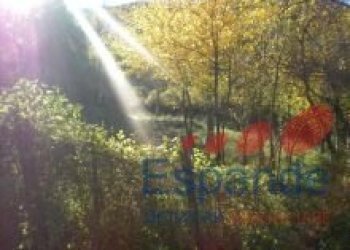 Terreno edificabile Alto Reno Terme - foto 5