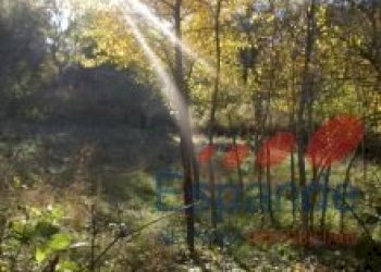 Terreno edificabile Alto Reno Terme - foto 6