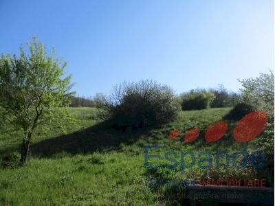 Magazzino Gaggio Montano - foto 3