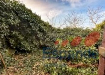 Casa semi indipendente Grizzana Morandi - foto 18