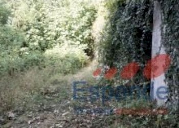 Casa semi indipendente Grizzana Morandi - foto 25